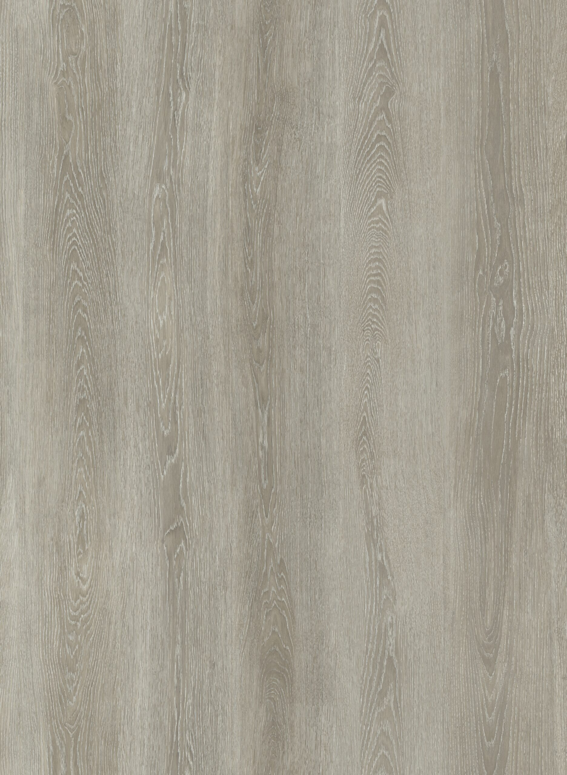 XpertPro SPC White Oak 1524x229x5,5mm (2,094 m²/pk)